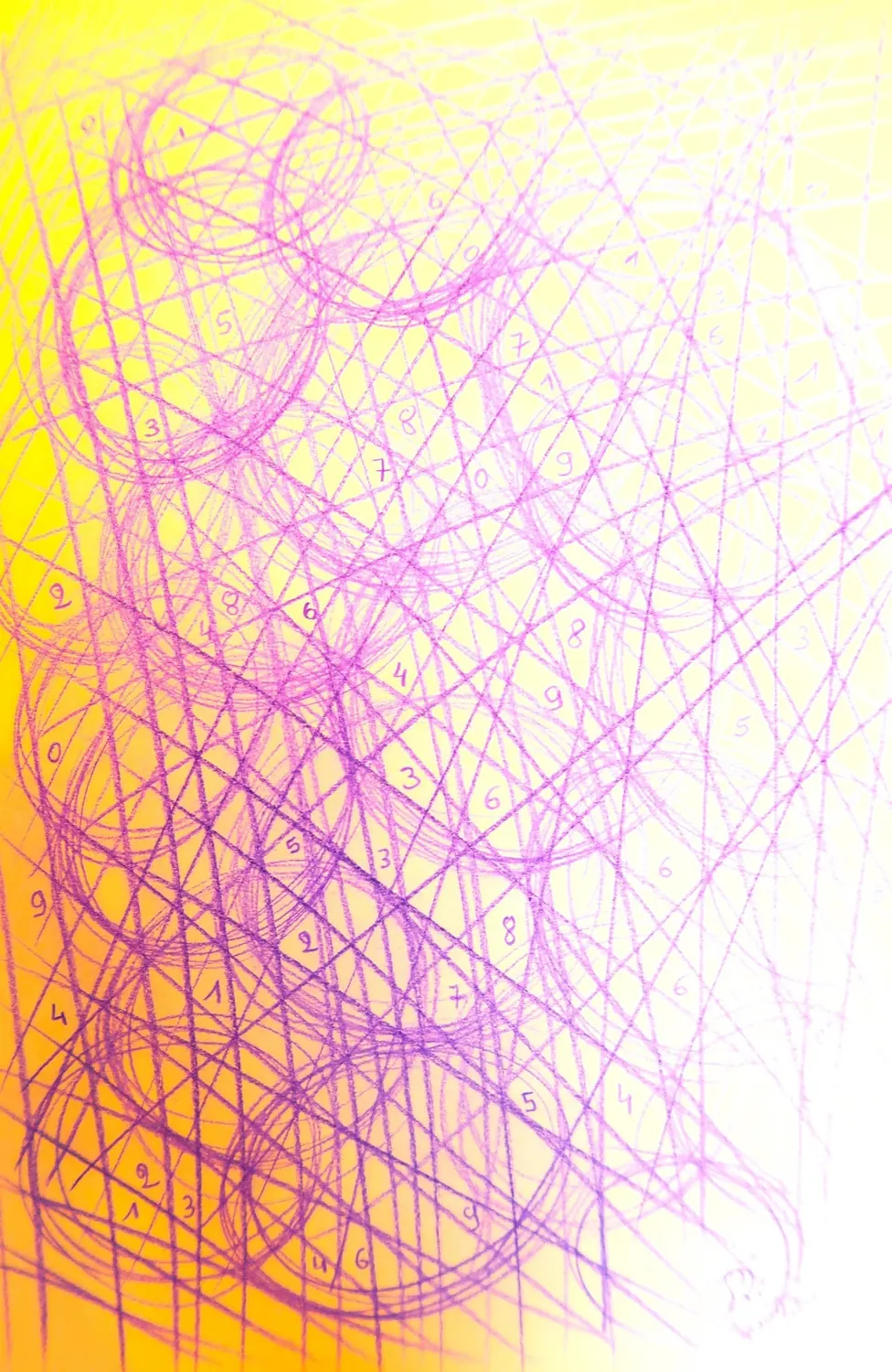 Web in magenta