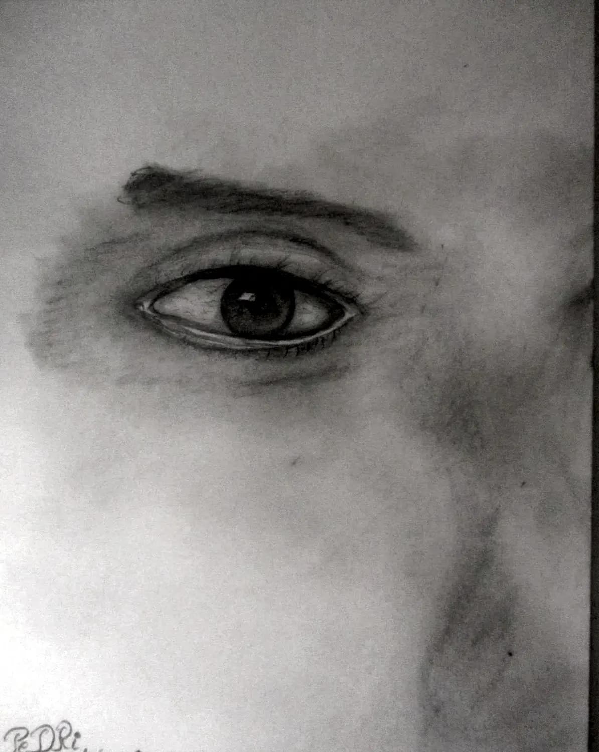 Studie van een oog