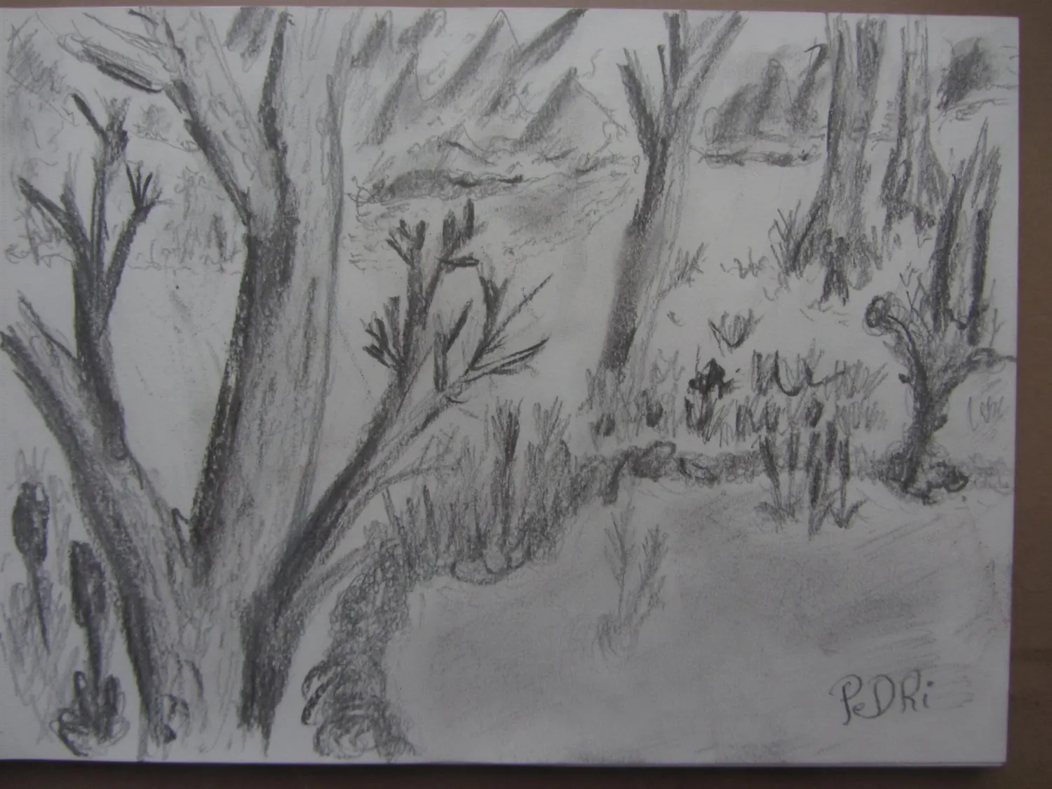 Kreupelhout