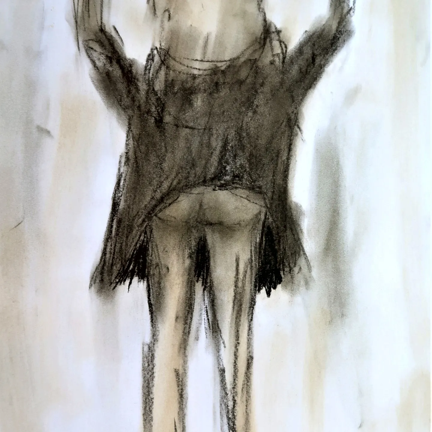 Torso